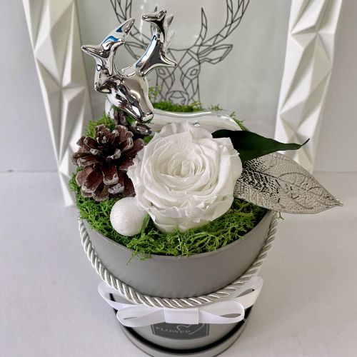 Vianočná dekorácia s bielou trvácnou ružou a strieborným sobíkom