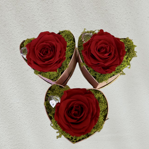 Červená stabilizovaná ruža v ružovom srdcovom boxíku