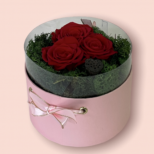 Luxusný ružový box so stabilizovanými ružami a machom