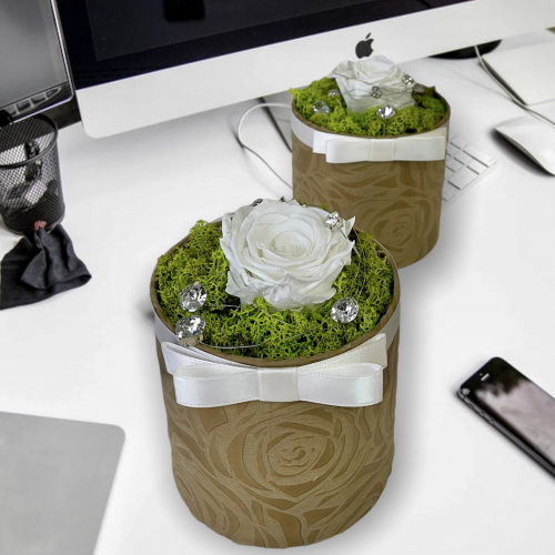 Prírodná dekorácia s bielou trvácnou ružou v hnedom flower boxe