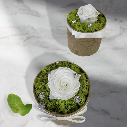 Prírodná dekorácia s bielou trvácnou ružou v hnedom flower boxe