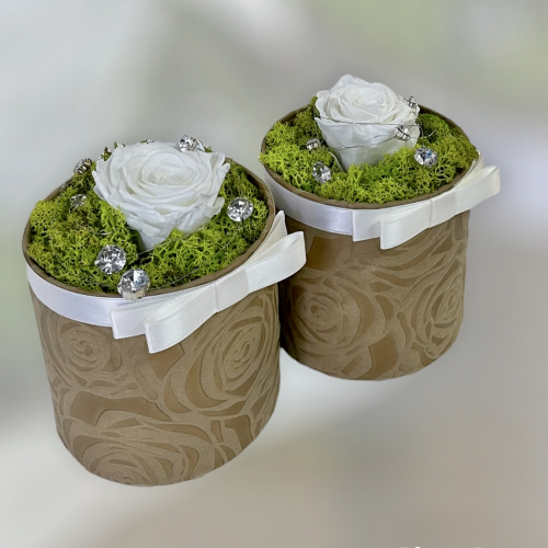 Prírodná dekorácia s bielou trvácnou ružou v hnedom flower boxe
