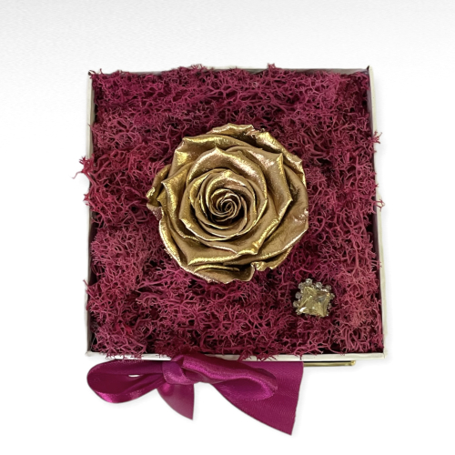 Luxusná zlatá stabilizovaná ruža v elegantnom zlato-bielom boxe
