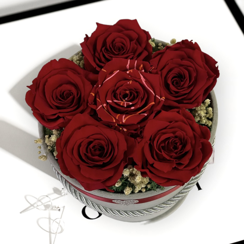 Luxusný sametový box so stabilizovanými tmavočervenými ružami